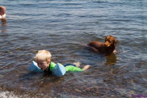 hund og barn koser seg