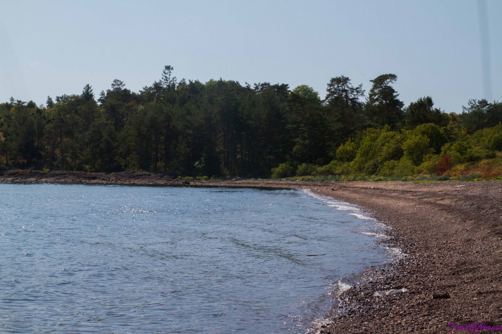 nesten hele stranda for oss selv