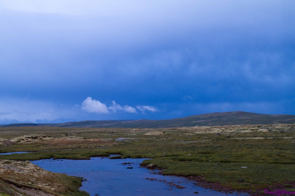 hardangervidda