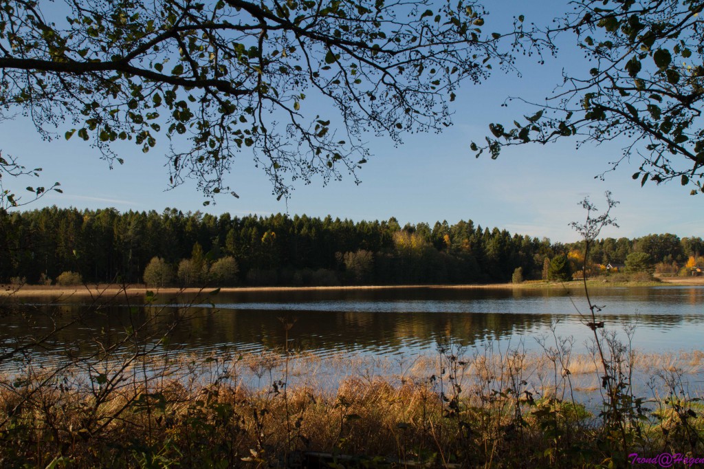 Lerviksundet