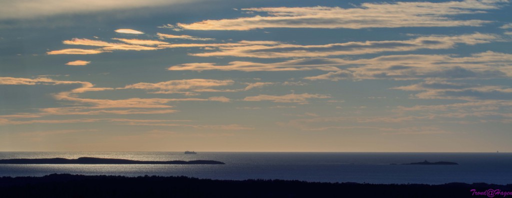 Ettermiddagsdis på Oslofjorden.