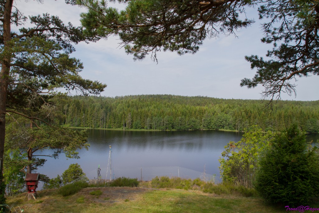 Grei utsikt fra hytta