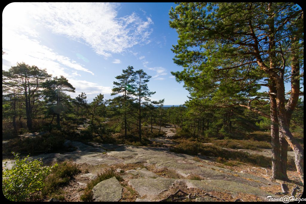 Deilig turområdet